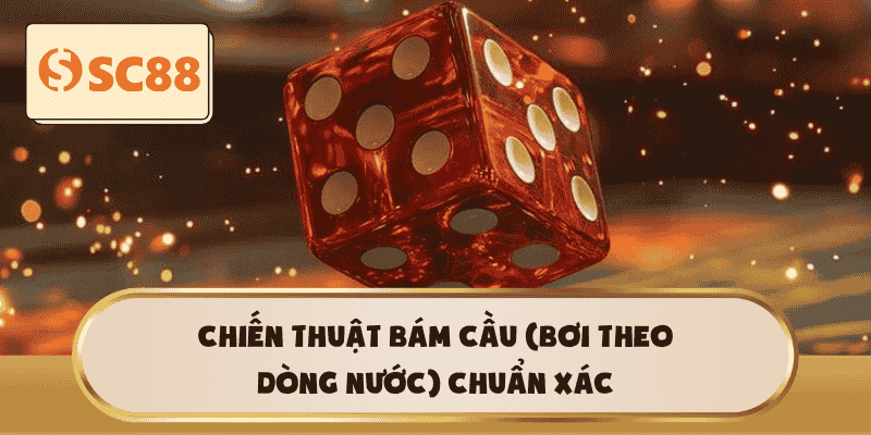 Chiến thuật bám cầu (Bơi theo dòng nước) chuẩn xác